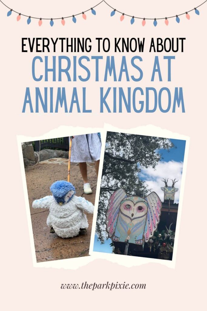 Custom graphic with 2 vertical photos (L-R): a Merry Menagerie penguin and pastel Christmas decor at Animal Kingdom. Text above the photos read: Everything to Know About Christmas at Animal Kingdom