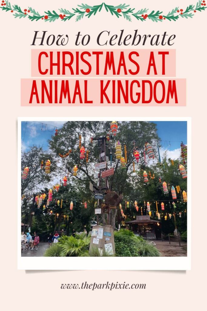 Custom graphic with a photo of Diwali lanterns strung up on trees at Disney's Animal Kingdom. Text above the photo reads: How to Celebrate Christmas at Animal Kingdom.