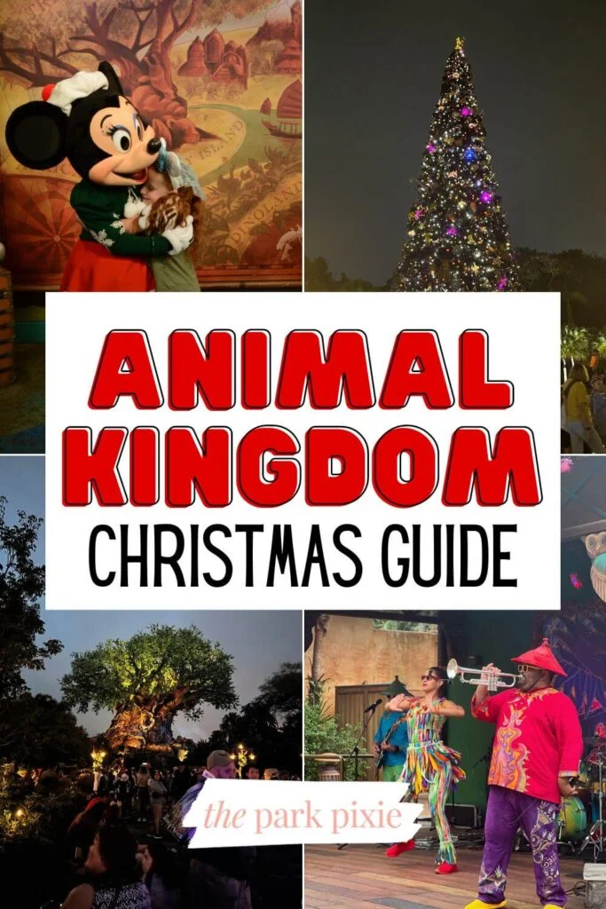 Custom graphic with 4 vertical photos (L-R clockwise): Minnie Mouse hugging a young girl, the Animal Kingdom Christmas tree at night, Viva Gaia Street Band, and the Tree of Life. Text in the middle reads: Animal Kingdom Christmas Guide.