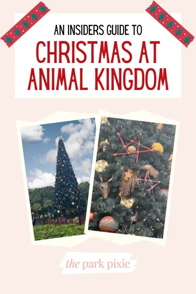 Custom graphic with 2 vertical photos (L-R): Animal Kingdom Christmas tree and a closeup of ornaments on the tree. Text above the photos reads: An Insiders Guide to Christmas at Animal Kingdom.
