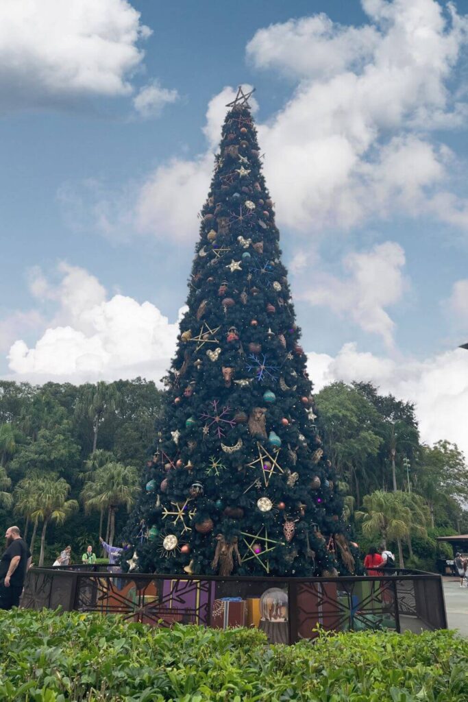 Photo of the giant Christmas tree outside the main entrance of Disney's Animal Kingdom.