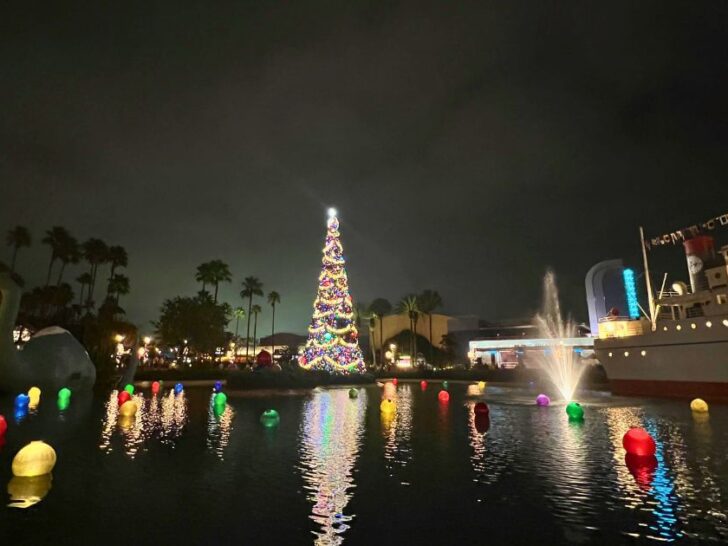 Disney’s Hollywood Studios at Christmas Celebration Guide
