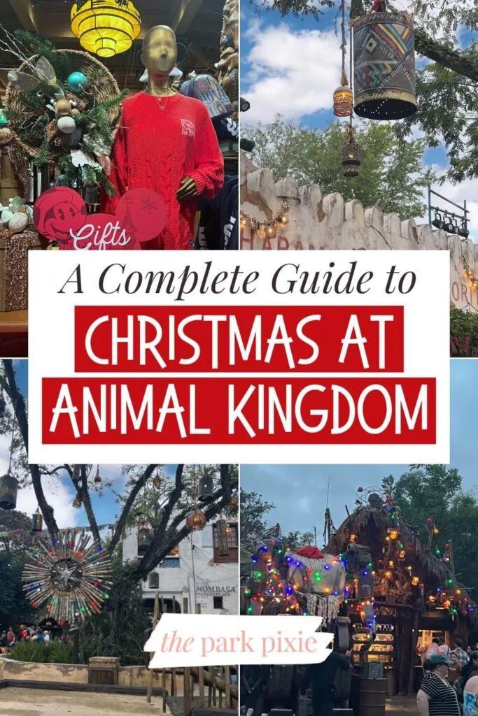 Custom graphic with 4 vertical images (L-R clockwise): Animal Kingdom Christmas merchandise, holiday decor at Harambe Market, Christmas lights at Pongu Pongu, and Christmas decor in DAK's Africa section. Text in the middle reads: A Complete Guide to Christmas at Animal Kingdom.