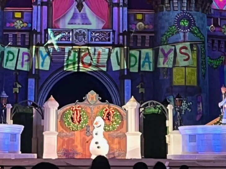 Magic Kingdom at Christmas Celebration Guide