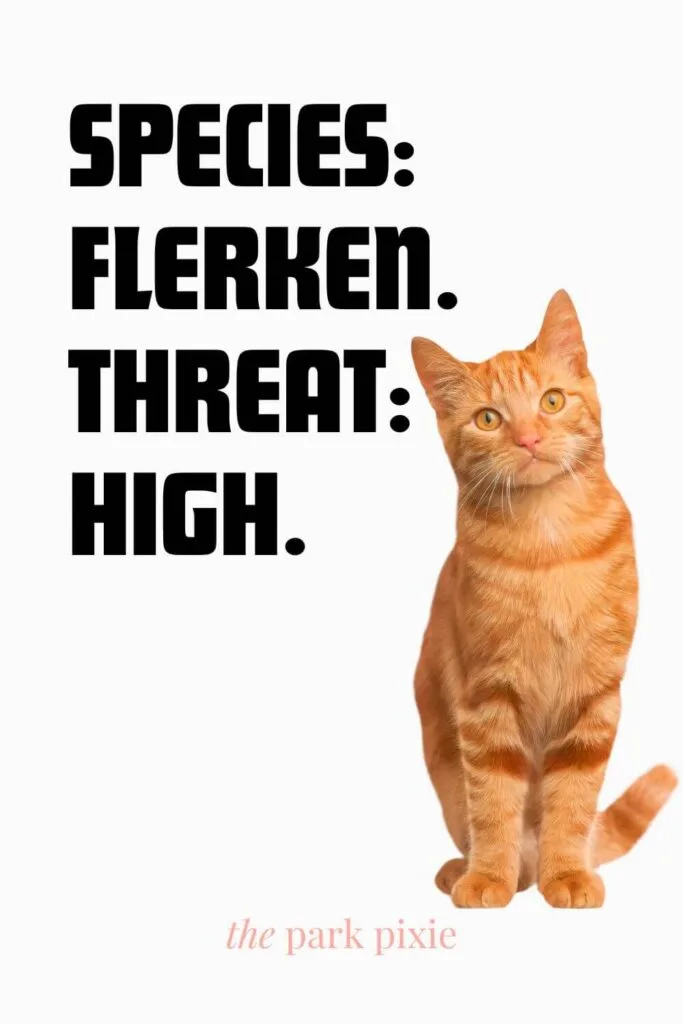 Custom graphic with a white background and a photo of an orange cat. Text to the left of the photo reads - Species: Flerken. Threat: High.