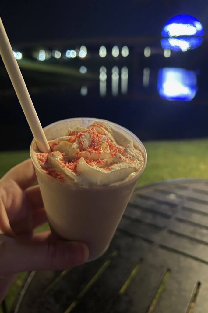 Photo of the snack sized chocolate peppermint shake from Epcot.
