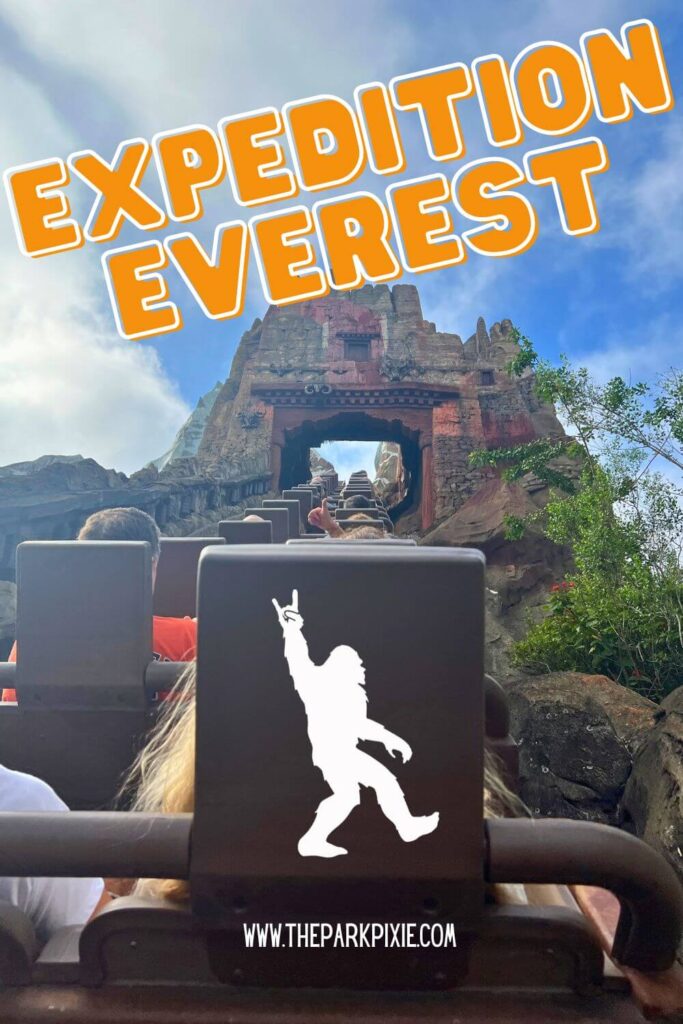 Photo looking up a steep hill on Expedition Everest at Animal Kingdom.