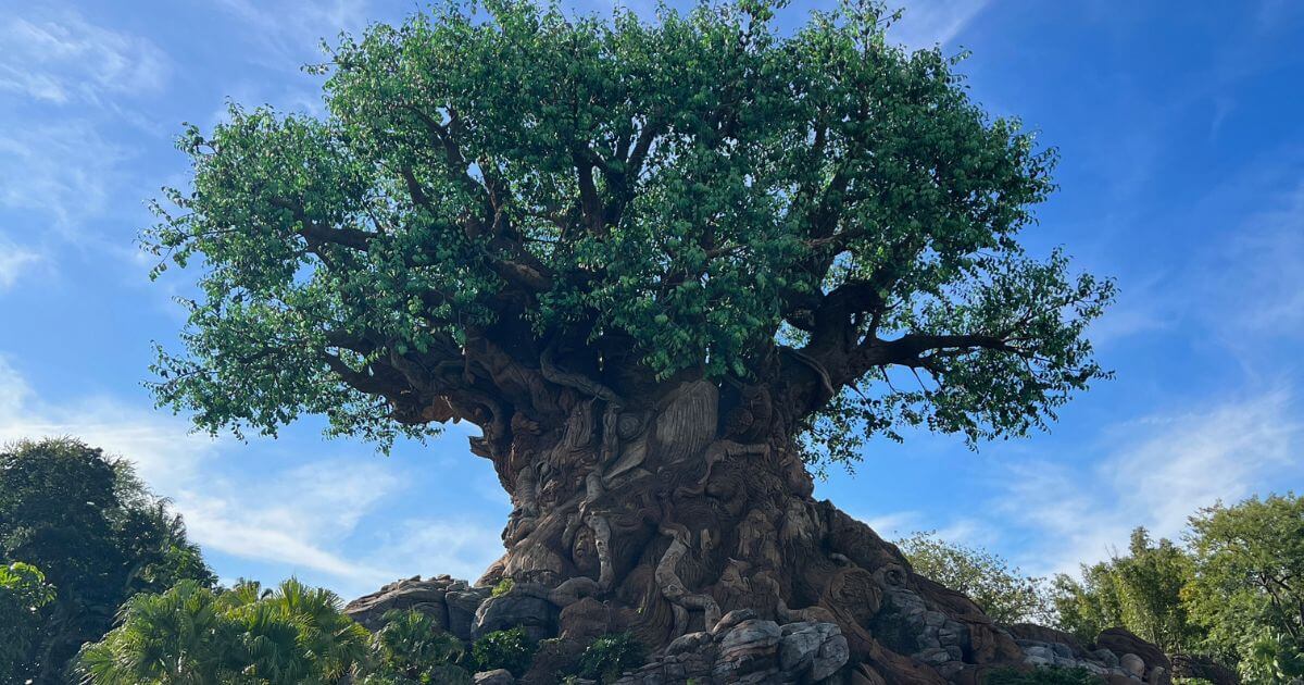 Photo of the Tree of Life at Animal Kingdom with blue skies behind it.
