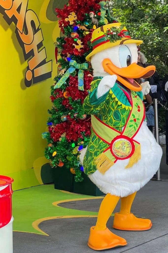 Photo of the Donald Duck meet-and-greet at Animal Kingdom during the Christmas season.