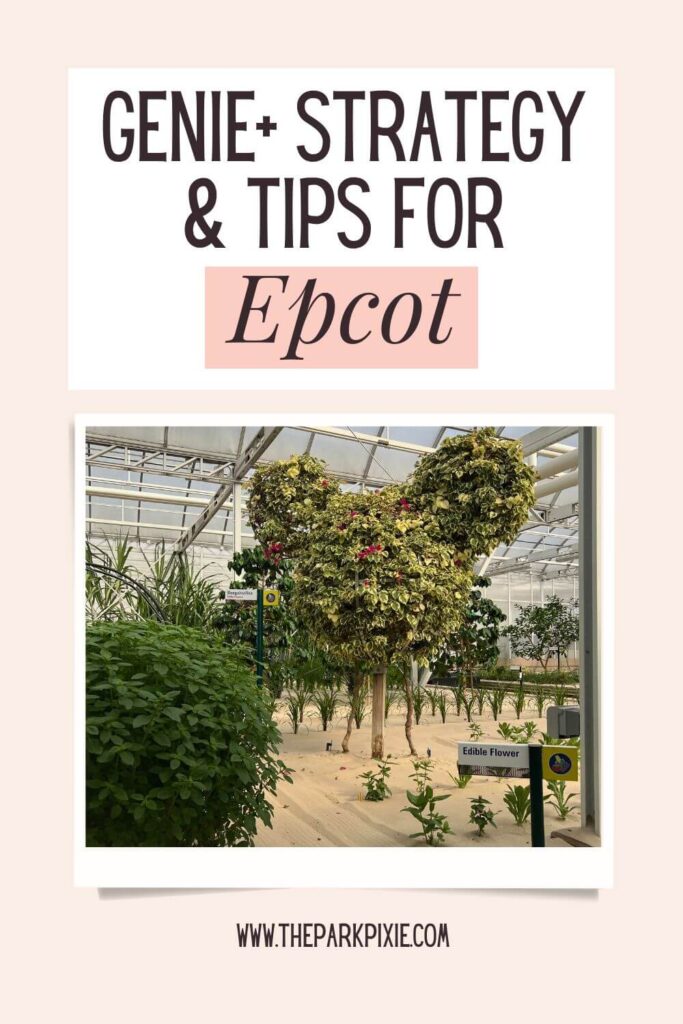 Custom graphic with a photo of a Mickey Mouse shaped tree. Text above the photo reads: Genie+ Strategy & Tips for Epcot.