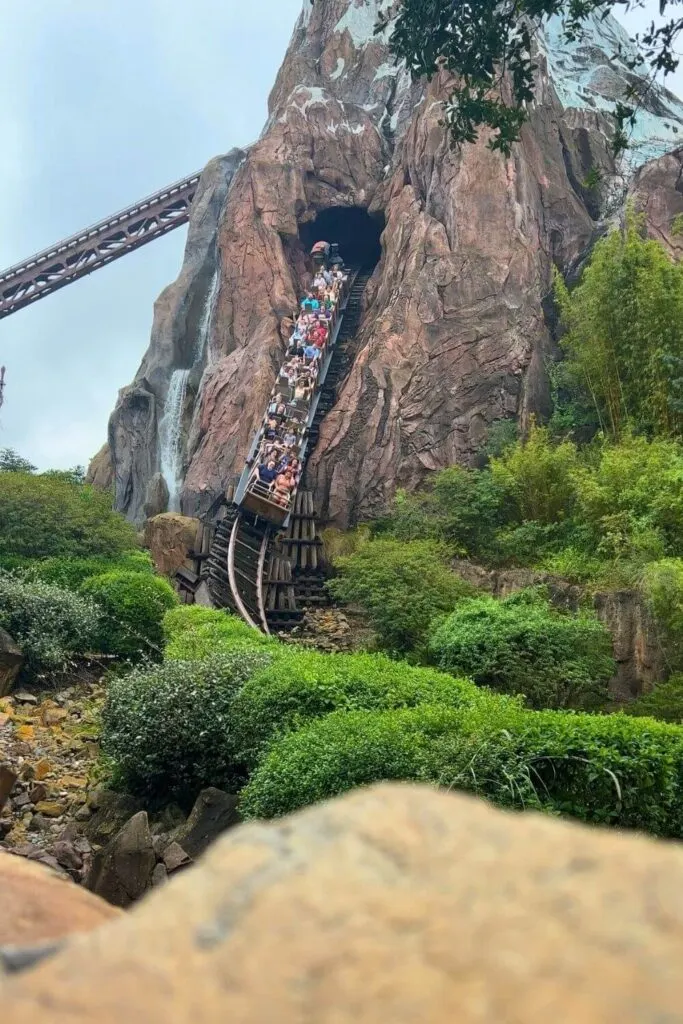 Photo of the Expedition Everest roller coaster with a train speeding down a hill.