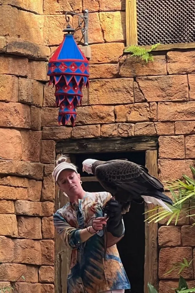 Photo of a trainer holding a bird on her arm at the Feathered Friends in Flight show at Disney's Animal Kingdom.