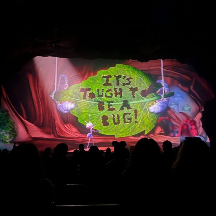Photo of the intro screen for the Animal Kingdom show, It's Tough to Be a Bug!