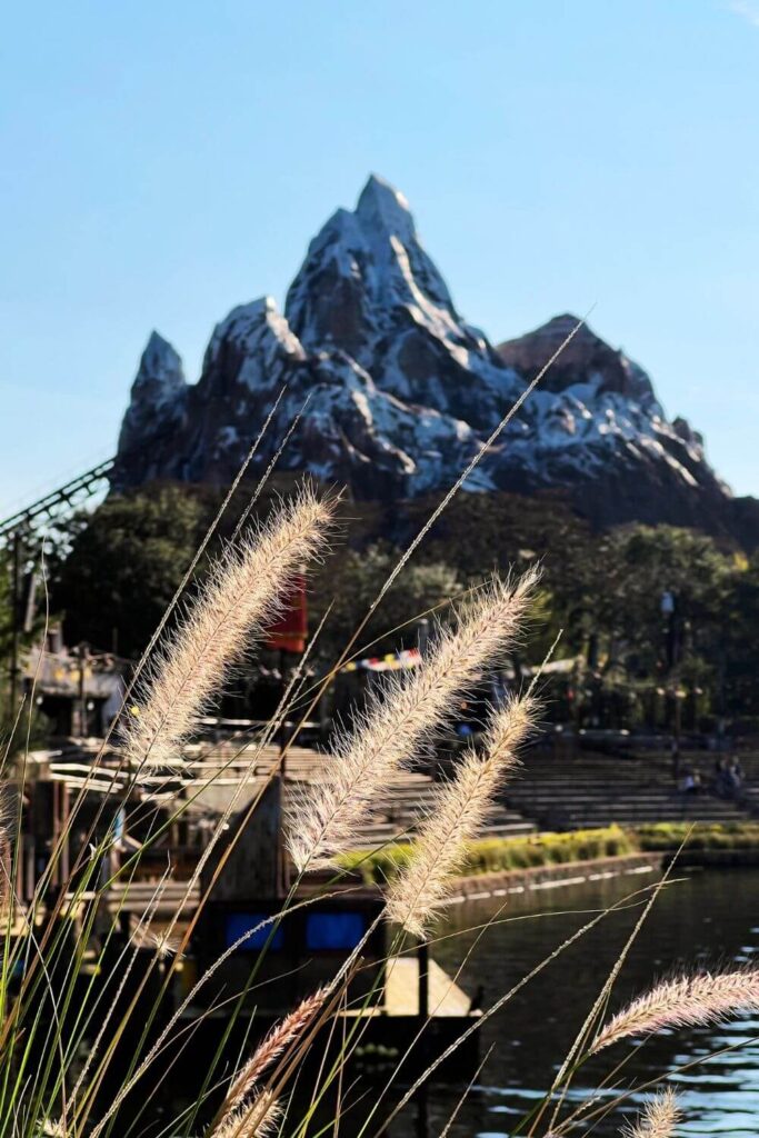 Photo of Expedition Everest roller coaster with foliage in the foreground.