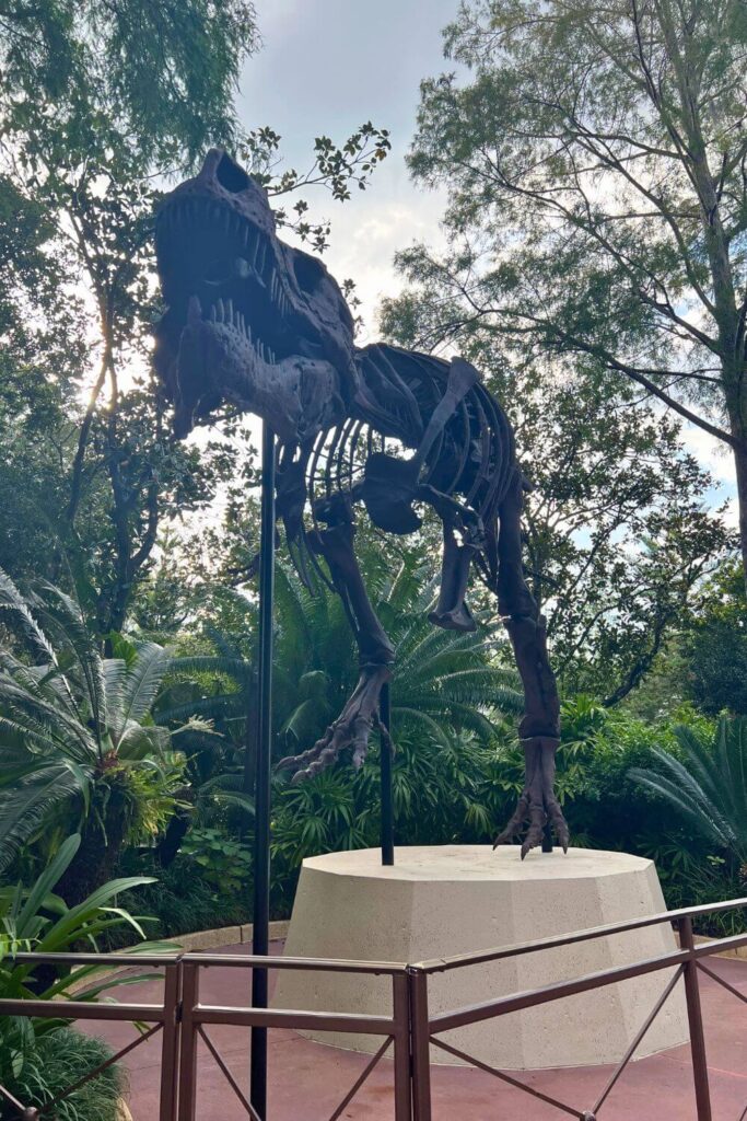 Photo of Dino-Sue, the skeleton replica of a Tyrannosaurus Rex in Animal Kingdom's DinoLand USA.