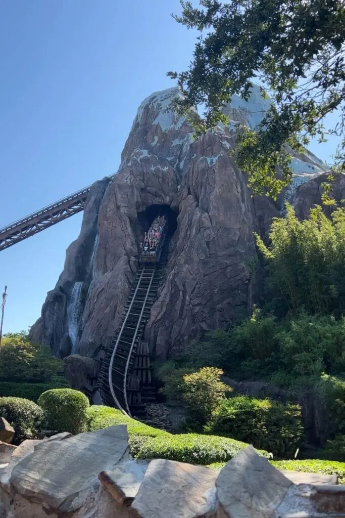 Photo of Expedition Everest at Animal Kingdom as a ride car starts to go down a big drop.