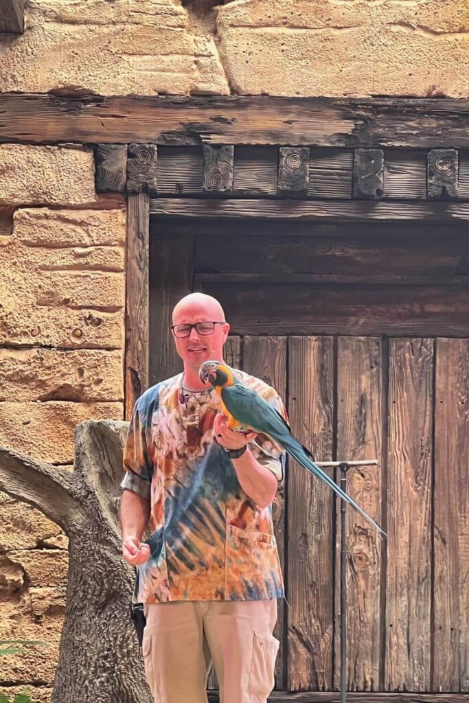 Photo of a parrot perched on a trainer's hand during the Feathered Friends in Flight show at Animal Kingdom.