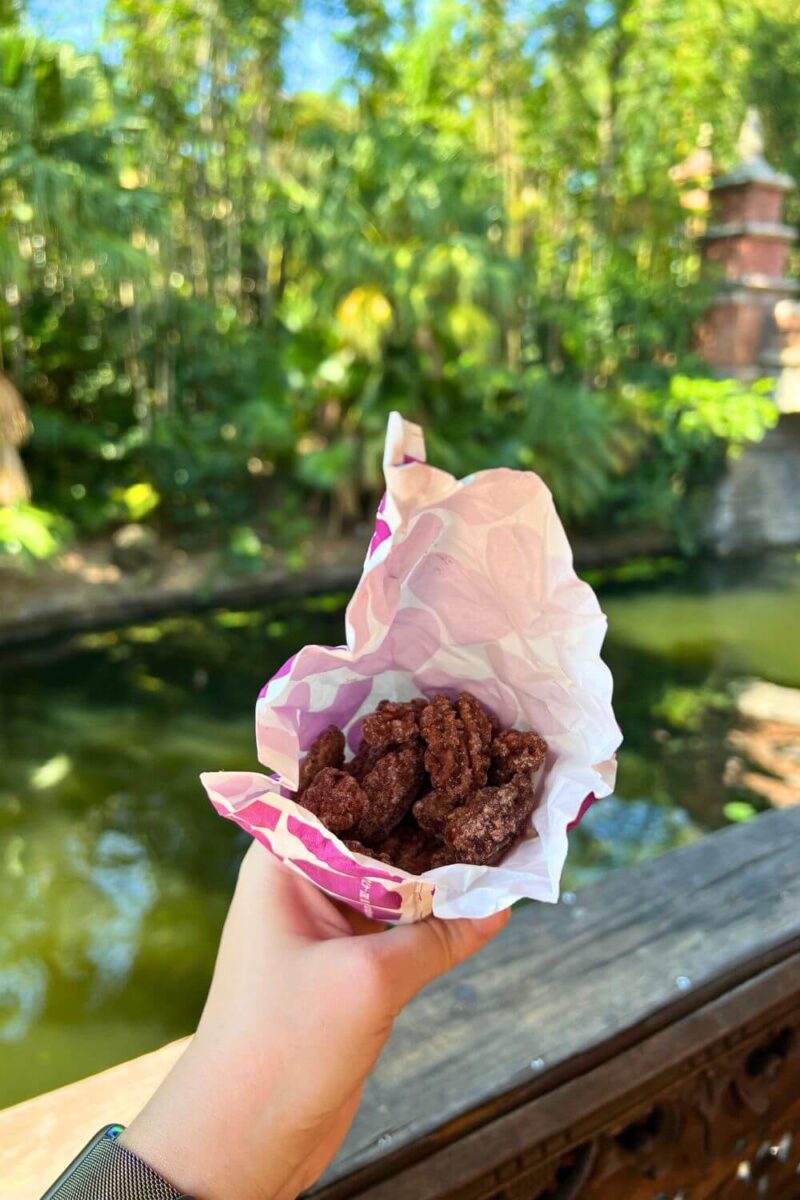 Best Snacks at Animal Kingdom Worth Trying • The Park Pixie