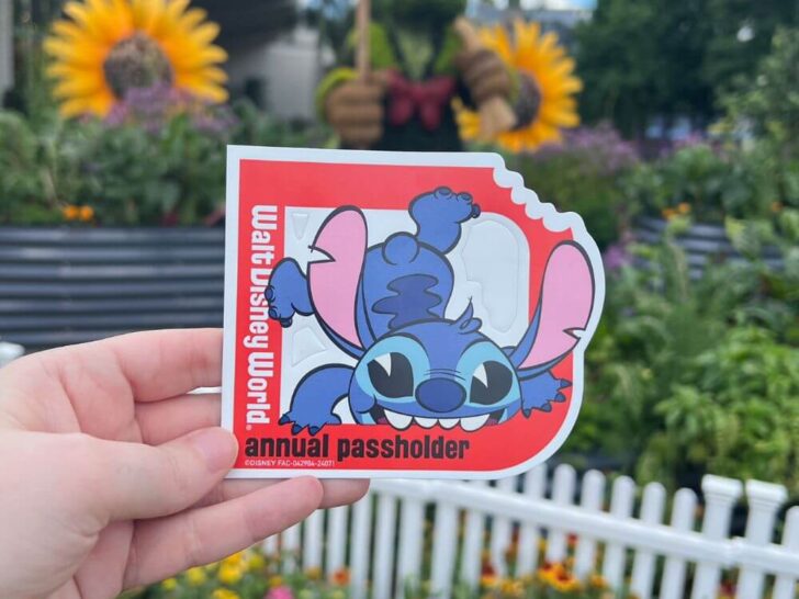 A Complete Guide to Lilo and Stitch at Disney World