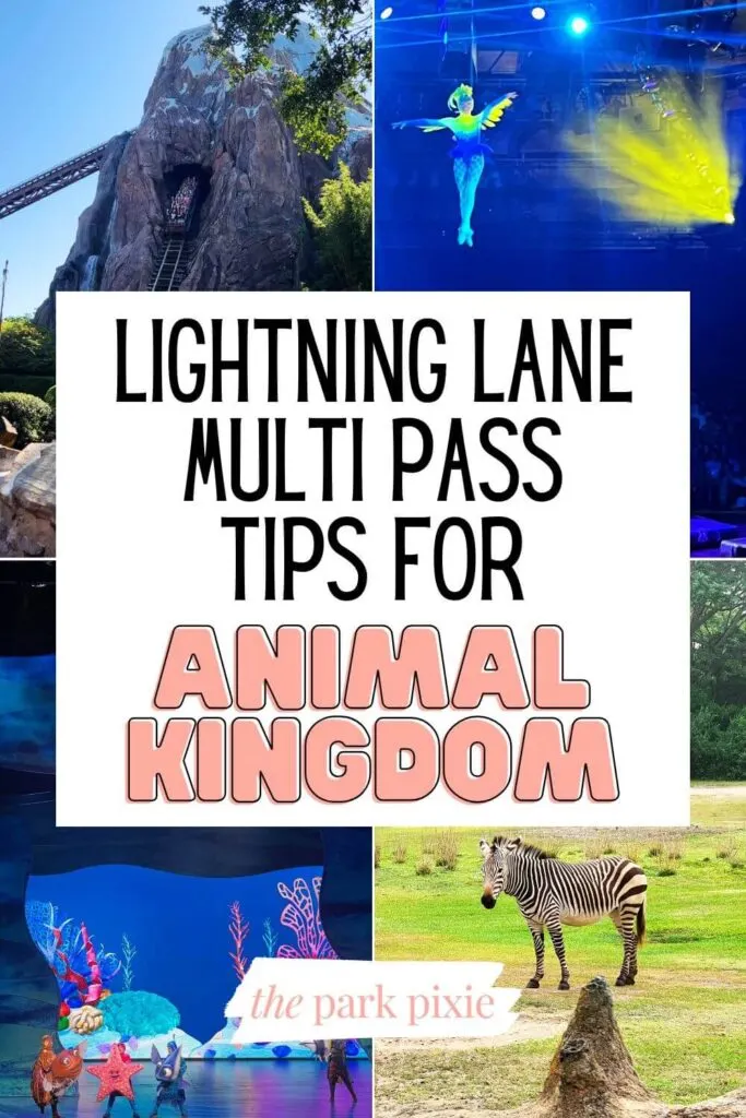 Pinterest pin featuring 4 photos from Lightning Lane Multi Pass attractions at Animal Kingdom, clockwise, L-R: Expedition Everest, Festival of the Lion King, Kilimanjaro Safari, and Finding Nemo: The Big Blue...and Beyond!. Text overlay reads: "Lightning Lane Multi Pass Tips for Animal Kingdom."