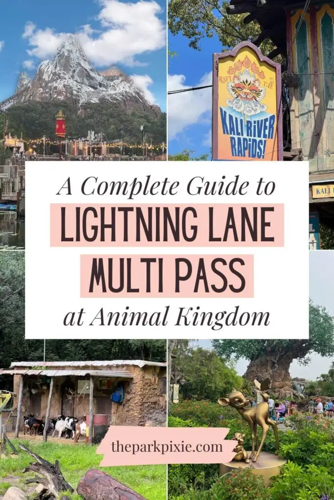 Pinterest pin with 4 photos from Animal Kingdom attractions, clockwise, L-R: Expedition Everest, Kali River Rapids, Tree of Life, and goats on Kilimanjaro Safari. Text in the middle reads: A Complete Guide to Lightning Lane Multi Pass at Animal Kingdom.