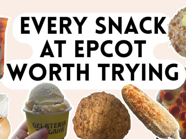 The Ultimate Guide to the Best Snacks at Epcot