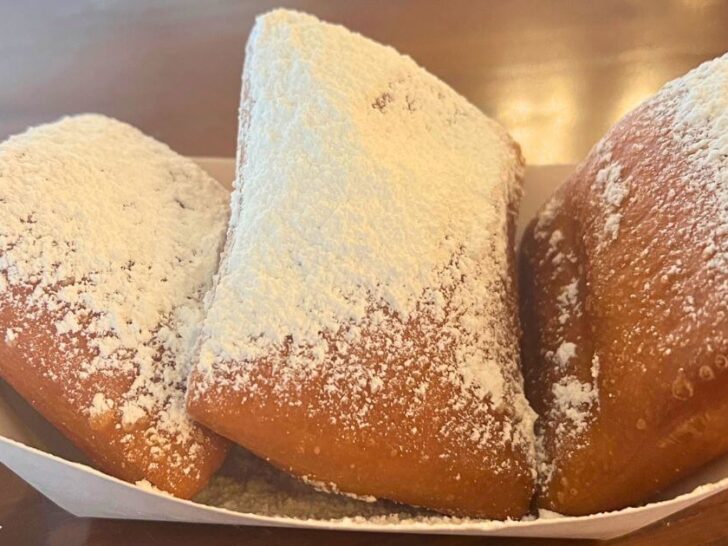 20 Best Snacks at Magic Kingdom Worth Trying