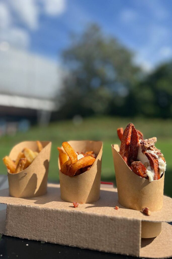 Closeup of a french fry sampler with 3 flavors in it: regular, paprika, and sweet potato with icing.