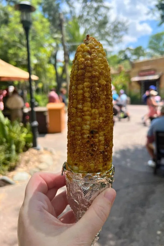 Close up of the freshly grilled corn on the cob smothered in African Spices.