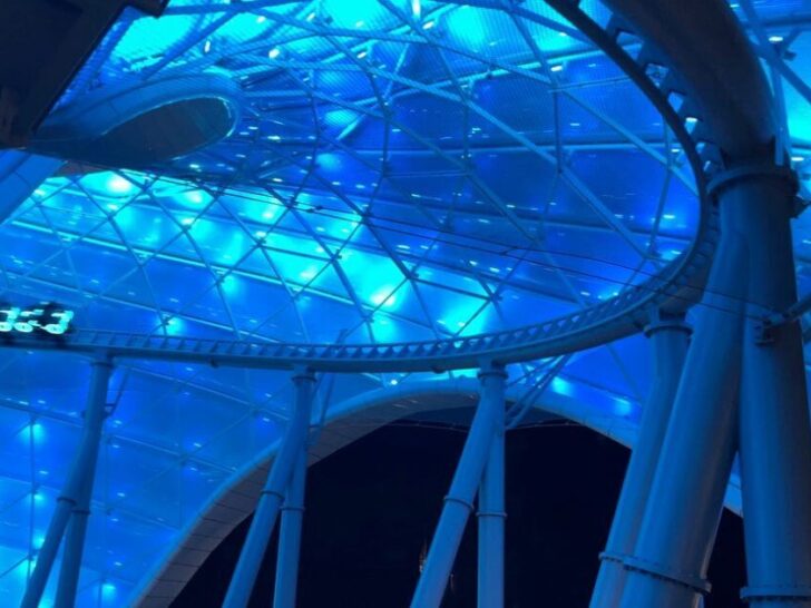 A Full Guide to Lightning Lane Premier Pass at Disney World