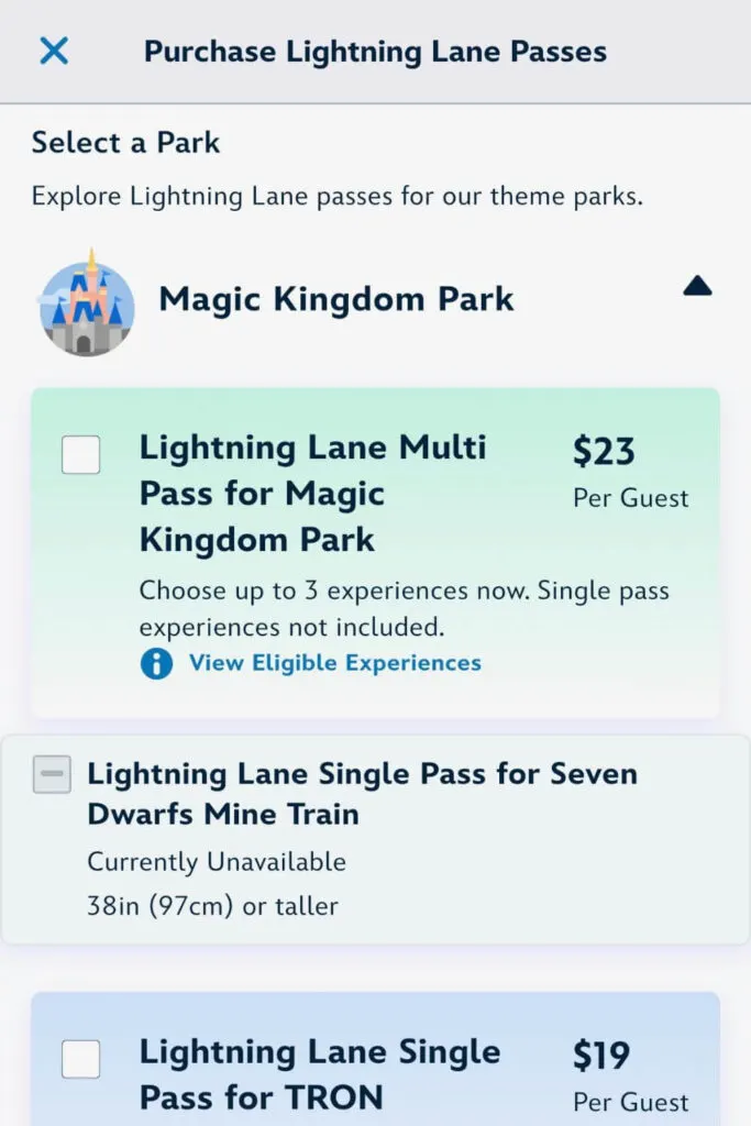 Screenshot of the purchase page for the Magic Kingdom Lightning Lane passes.