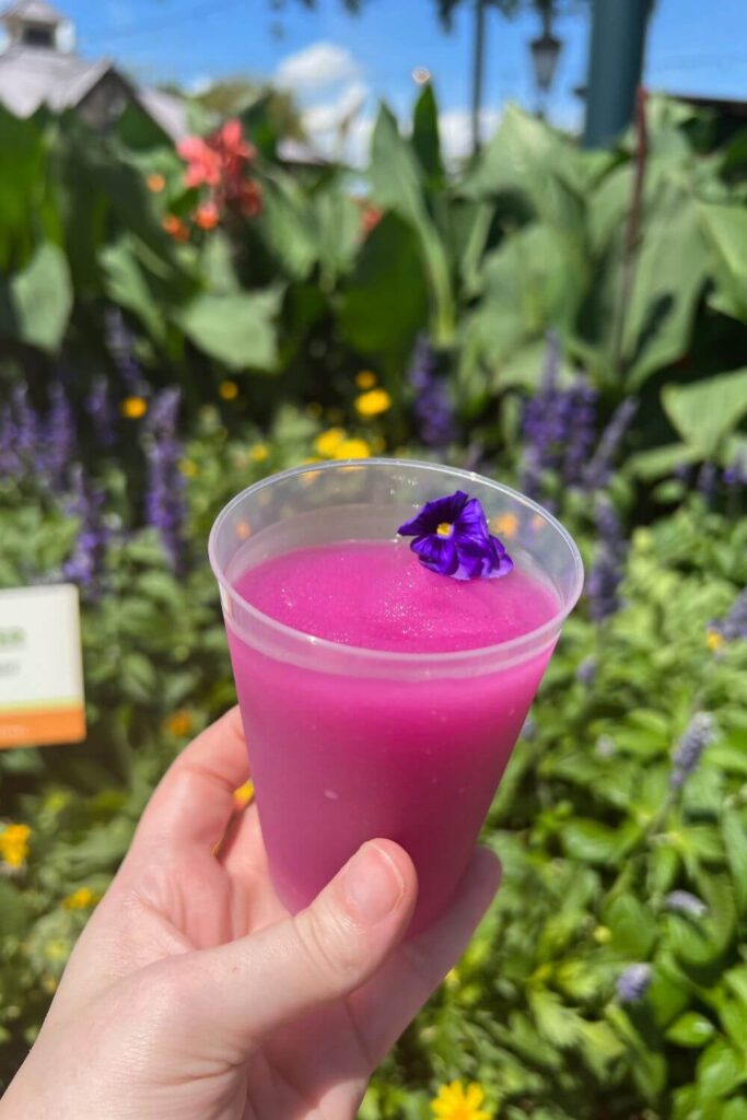 Photo of a cup of frozen violet lemonade with a flower garden in the background.